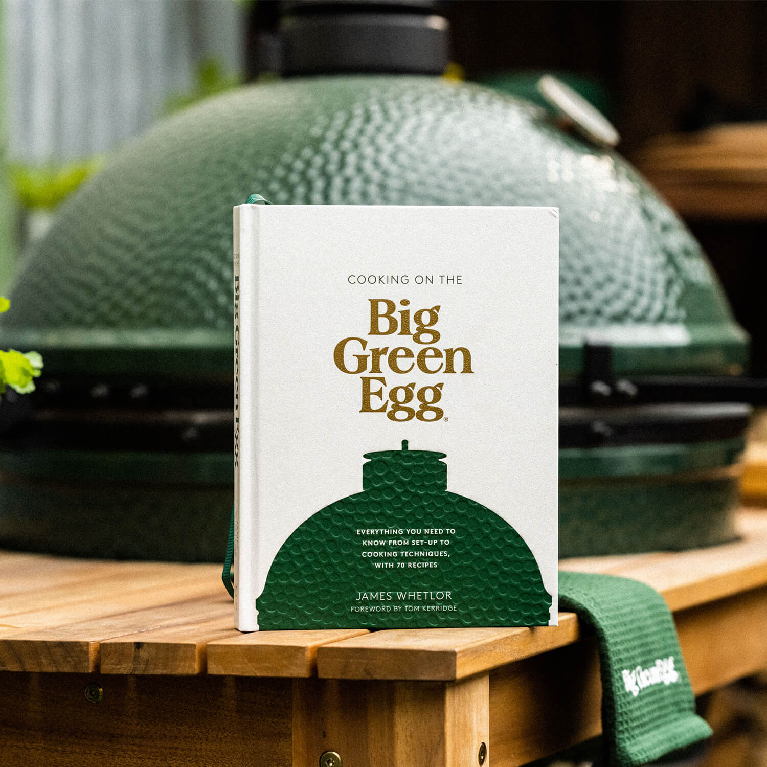 Cooking on the Big Green Egg